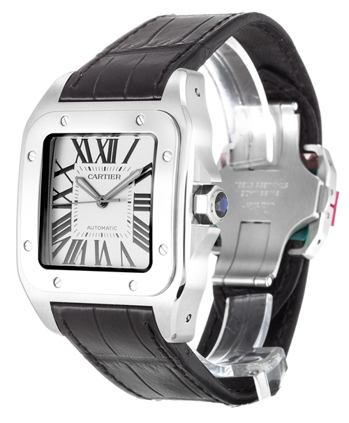 Cartier Santos 100 W20073X8 - gallery
